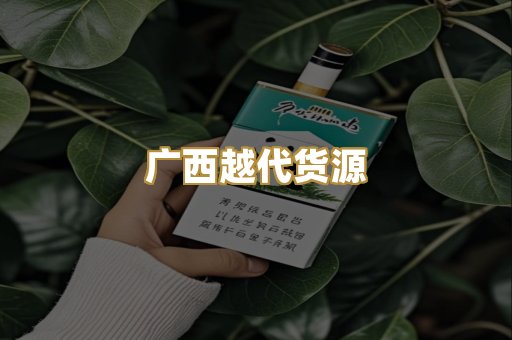 广西越代货源